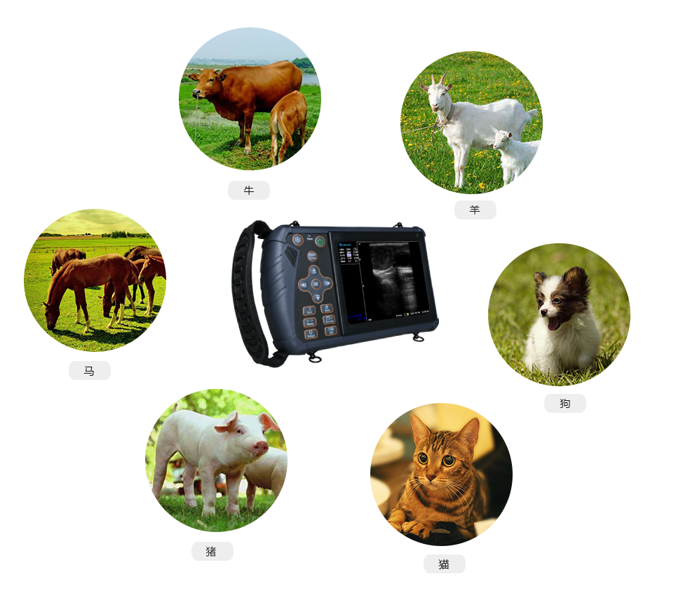 大为S1兽用推车式b超机适应对象